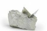 Natural Pyrite Cube In Rock - Navajun, Spain #218994-1
